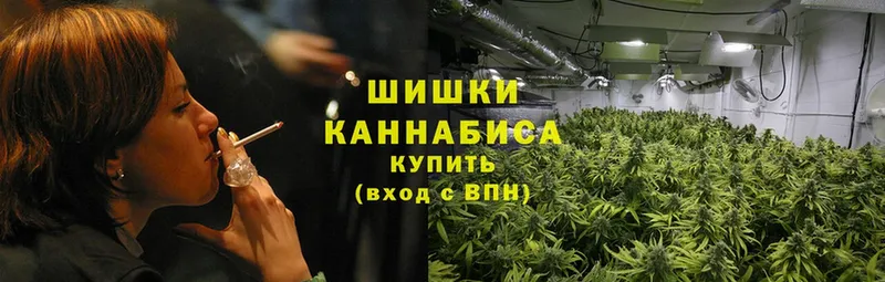 даркнет сайт  Бежецк  Шишки марихуана SATIVA & INDICA 